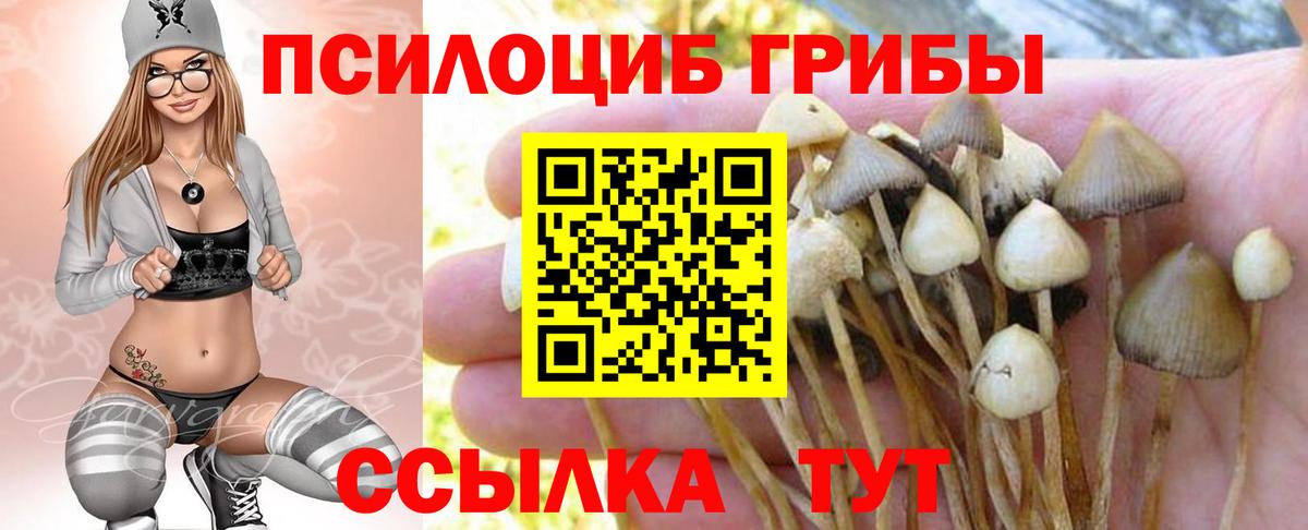 Псилоцибиновые грибы MAGIC MUSHROOMS Энгельс