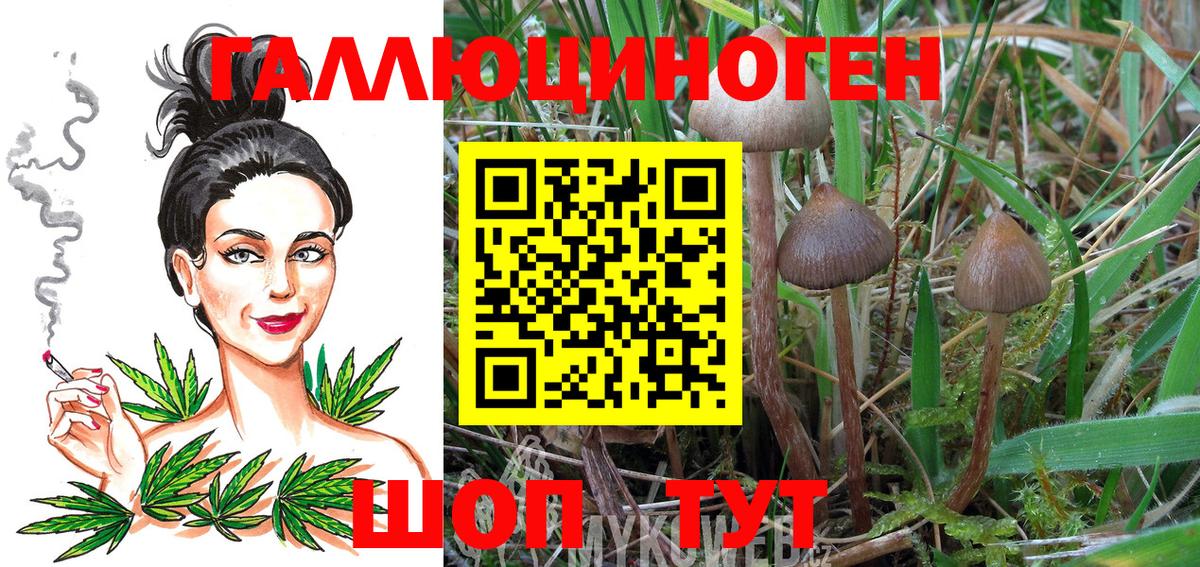 наркотики  Вход с VPN  Энгельс  Псилоцибиновые грибы Psilocybe 